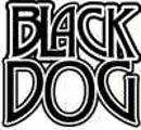 Black Dog Website